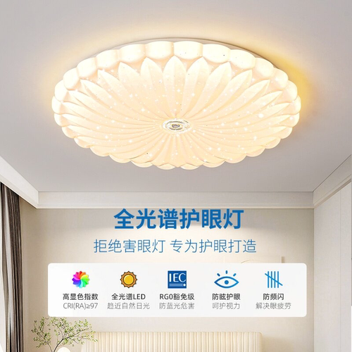 新款LED吸顶灯客厅灯长方形主卧室灯房间灯圆形走廊过道中山灯具