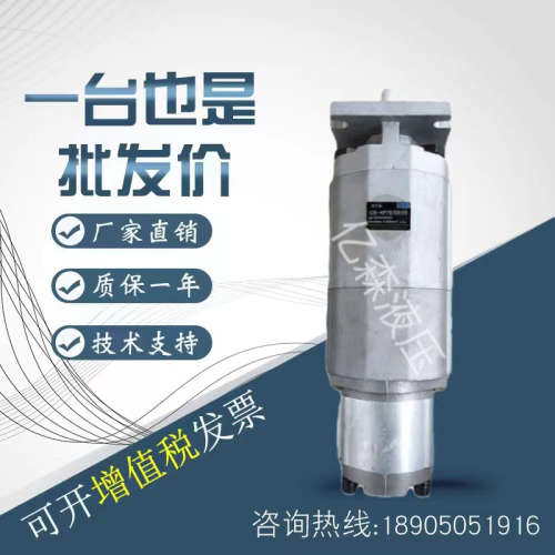 双联齿轮油泵CBKP50/50-BFHRCBKP63/32-BFHR规格齐全现货供应