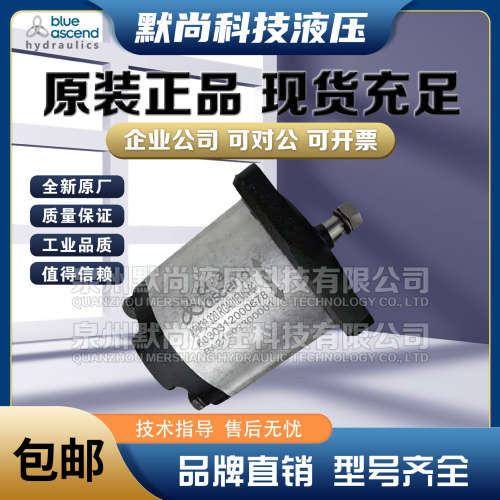 土耳其BLUE ASCEND齿轮泵AP30.470 AP30.510 AP30.560 AP30.610泵