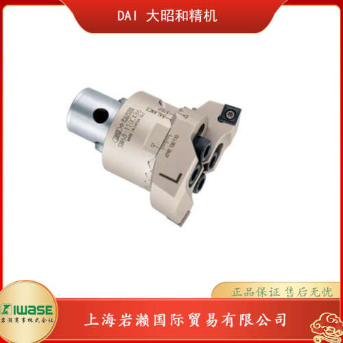 BIG DAISHOWA大昭和精机，SW粗镗头SW20-31CKB1