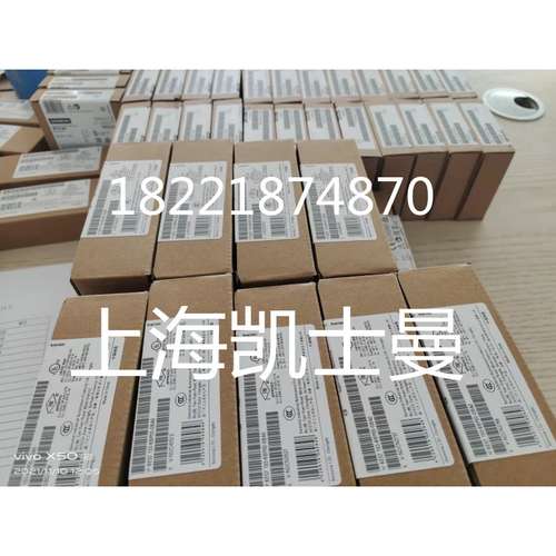 6ES7 131-4BB01-0AA0原装6ES7131-4BB01-0AA0