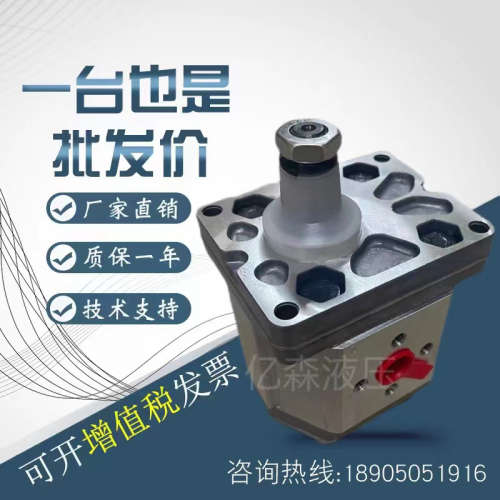 马祖奇MARZOCCHI齿轮泵GHP1A-D-2/3//4/5/6/7/9/11/13/16/20油泵