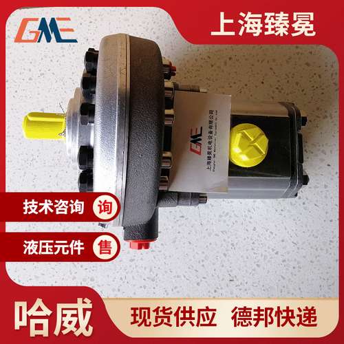 HAWE哈威RG 5.8柱塞泵德国品牌