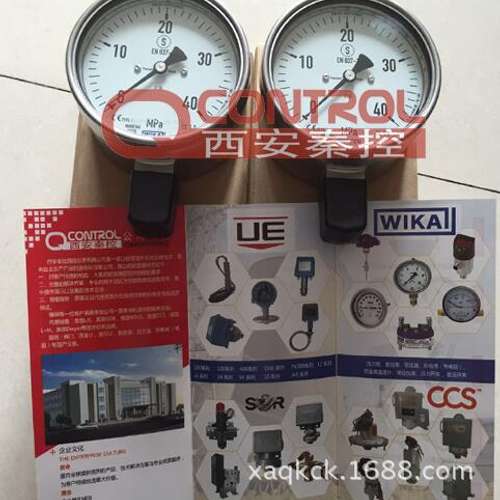 德国WIKA高压隔膜压力表232.30.100+990.36 0-60MPa