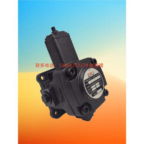 原厂现货台湾弋力VVPE-F40D/F40C/F40B-F30D/F30C/F30B-10 叶片泵