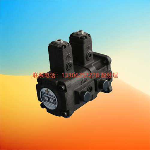 WINMOST峰昌双联泵VP-DF-12/20-A/B/C/D VP-DF-30 VP-DF-40E/40E