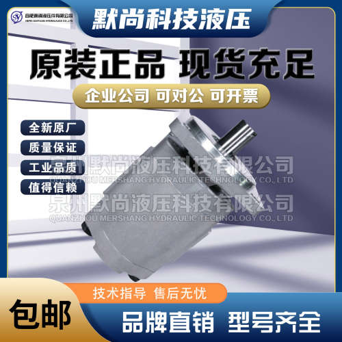 合肥赛源 铝合金齿轮泵CBG2040/2050/2063/2080/2100-BF 液压油泵