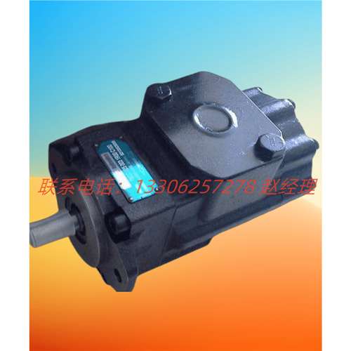 美国DENISON丹尼逊双联叶片泵T6EES 072 072 1L03 A10 M0低噪音