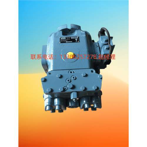 美国DENISON丹尼逊柱塞泵PV20-2R10-C02 2R1D/1R1D/2R1C-C02-000