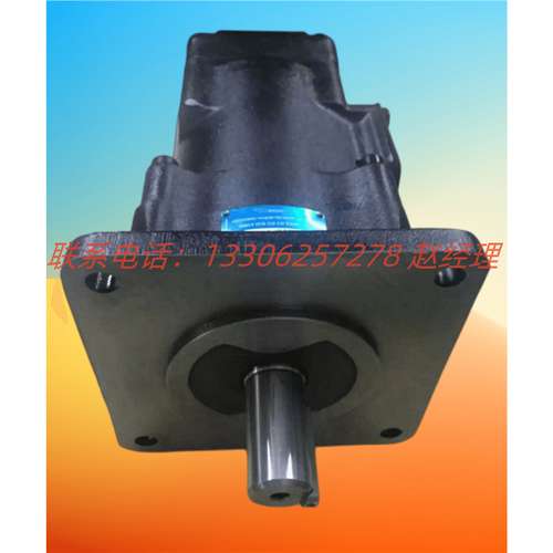 美国DENISON丹尼逊T6C 012 2R01 B1叶片泵T6C 008 1R00 B1低噪音