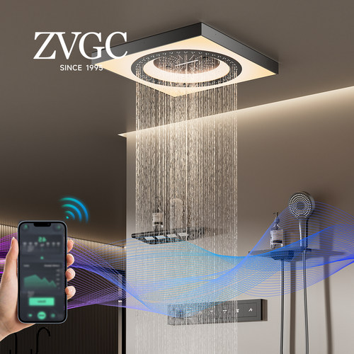 ZVGC高端天幕暗装花洒音乐氛围灯