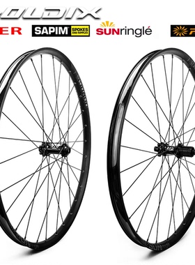 GOLDIX 29寸山地碟刹自行车轮组DU30/35太阳车圈310花鼓SAPIM辐条