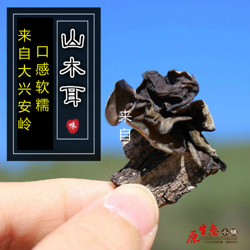 东北纯野生黑木耳200克包邮