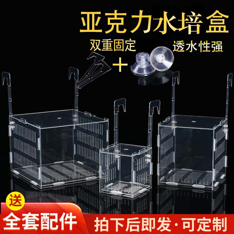 鱼缸水培植物固定架水草