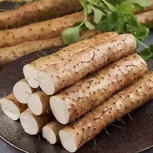 铁棍山药云南丽江高原山药