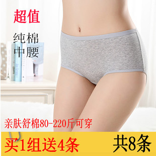 8条中腰内裤 抗菌 女纯棉胖mm200斤大码 妈妈中年中老年三角裤