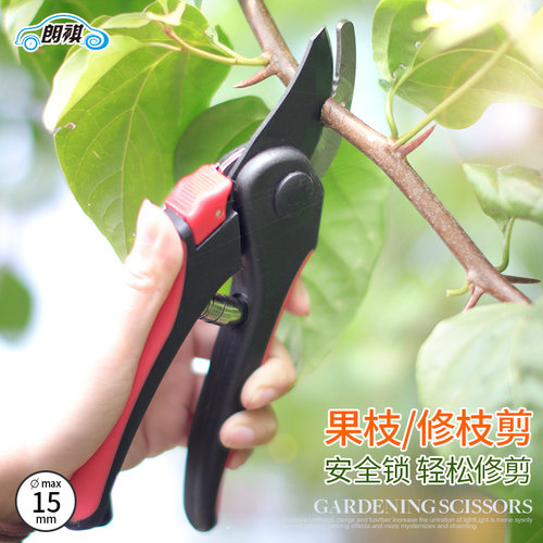 修枝剪朗祺轻便好用锋利安全