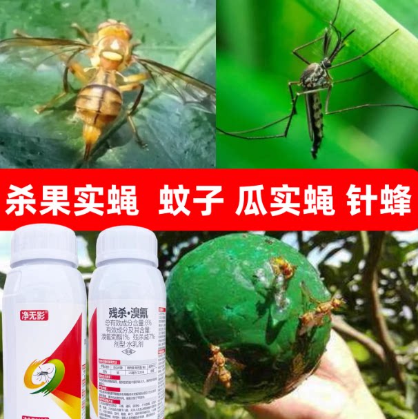 净无影残杀威溴氰菊酯室内大面积灭蚊子苍蝇蟑螂药家用卫生杀虫剂