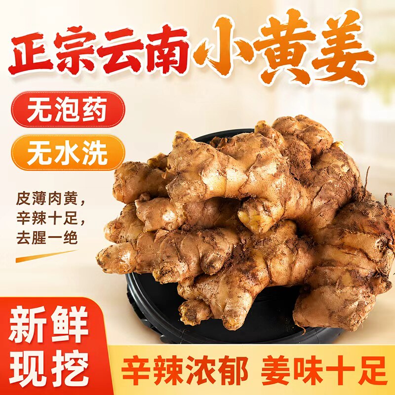 云南罗平小黄姜现挖高山生姜老姜