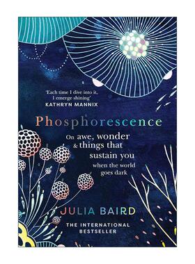 英文原版 Phosphorescence 磷光 Julia Baird 世界陷入黑暗时 是敬畏与惊奇在支撑着你 英文版 进口英语原版书籍