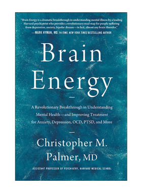 Brain Energy 大脑能量 理解心理健康的革命性突破 改善焦虑 抑郁 强迫症 PTSD等的治疗 精装 Christopher M. Palmer 英文原版