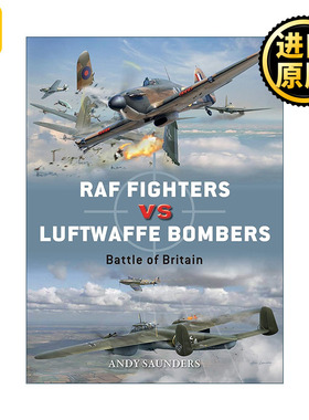 RAF Fighters vs Luftwaffe Bombers VS
