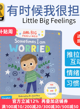 有时候我很担心 Little Big Feelings Sometimes I Am Worried 英文原版 英文版幼儿情绪管理绘本 进口英语纸板书 亲子互动图画书