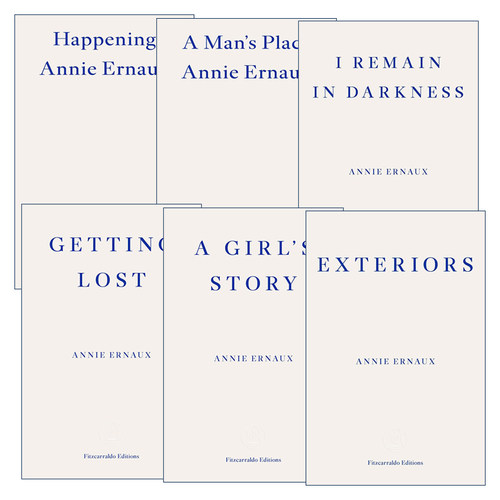 安妮埃尔诺系列6册英文原版