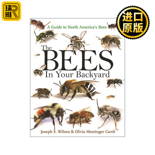蜜蜂 Wilson Joseph 北美蜜蜂指南 后院 Backyard Your Bees The