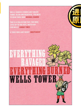 英文原版 Everything Ravaged  Everything Burned 一切破碎一切成灰 威尔斯·陶尔短篇小说集 英文版 进口英语原版书籍