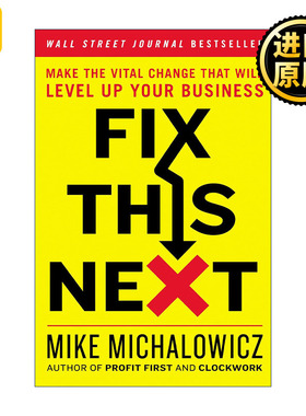 Fix This Next 精准定位 找到破局点 打破企业发展僵局的方法论 Mike Michalowicz 精装