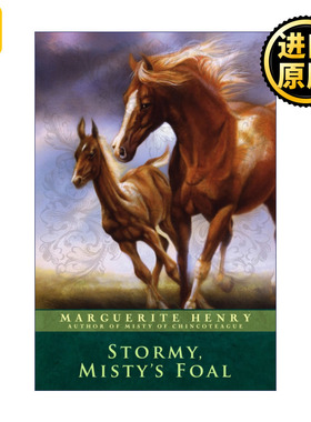 Stormy, Misty's Foal 暴风雨 迷雾的小马 辛可提岛的迷雾续集1 纽伯瑞奖作者玛格丽特亨利