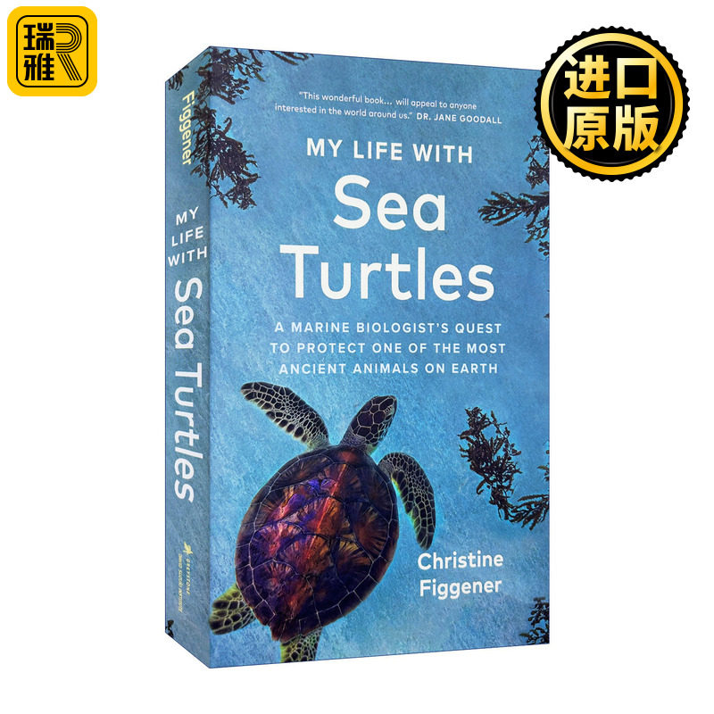 英文原版 My Life with Sea Turtles 我与海龟的生活 海洋生物学家Christine Figgener 环境保护 自然科学 精装 进口英语原版书籍