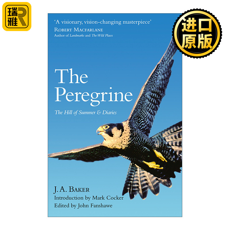 英文原版 The Peregrine 游隼 夏日山间 J.A.贝克自然文学集 英文版 进口英语原版书籍