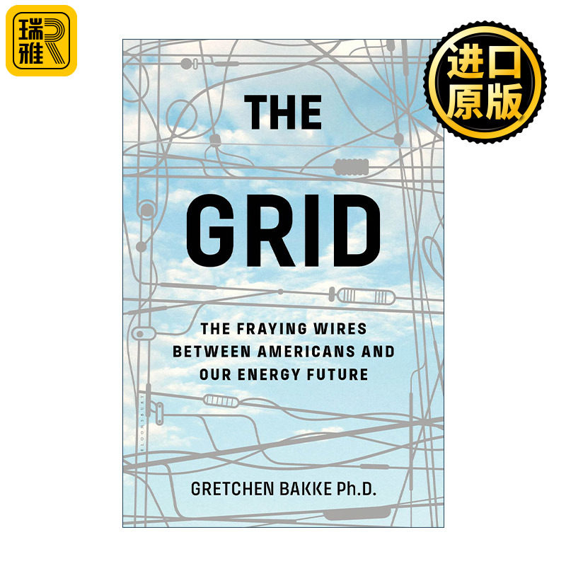 The Grid 电网 美国和能源未来之间的磨损电线 格雷琴·巴克 比尔盖茨荐书