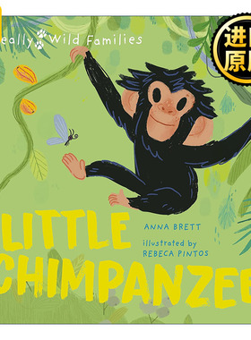 Little Chimpanzee: A Day in the Life of a Baby Chimp 英文原版