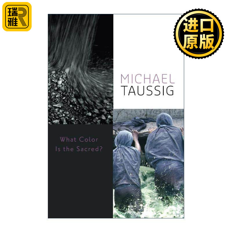 英文原版 What Color Is the Sacred 神圣是什么颜色 本雅明之墓作者 哥伦比亚大学人类学系教授迈克尔·陶西格 进口英语原版书籍