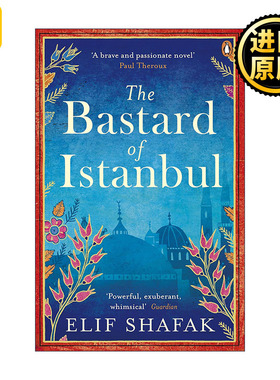 The Bastard of Istanbul 伊斯坦布尔孤儿 埃利芙·沙法克小说