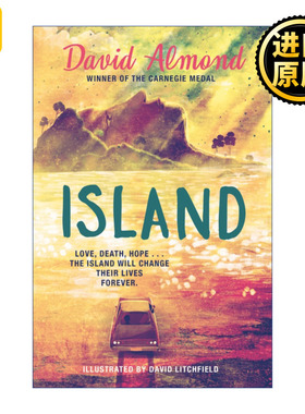 英文原版 Island 岛屿 David Litchfield绘制插画版 Skellig作者大卫阿尔蒙德 Almond David 精装