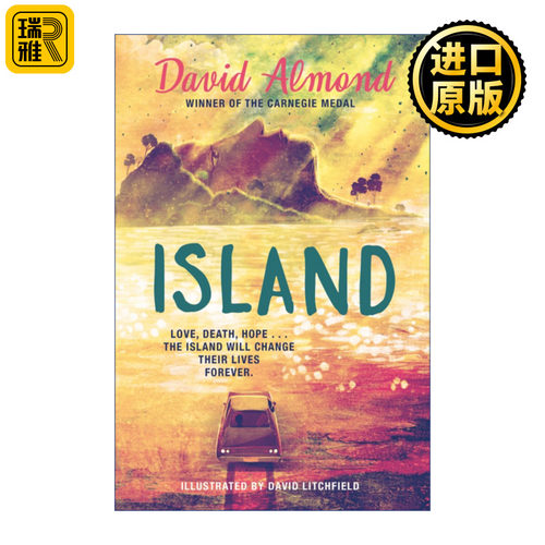 英文原版 Island 岛屿 David Litchfield绘制插画版 Skellig作者大卫阿尔蒙德 Almond David 精装