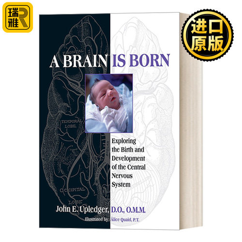 英文原版 A Brain Is Born 一个大脑的诞生:探索中枢神经系统的诞生和发展 另类疗法 健康 John E. Upledger