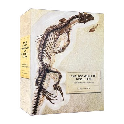 英文原版 The Lost World of Fossil Lake 化石湖的失落世界 远古时期快照 古生物学指南 精装 Lance Grande 进口英语原版书籍