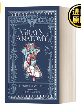 Grays Anatomy  英文原版 巴诺经典 皮革精装收藏版 人体表面解剖图册解说展示英文版