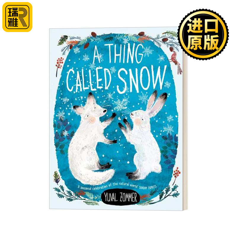 A Thing Called Snow一种叫做雪的东西圣诞主题儿童故事图画书 Yuval Zommer