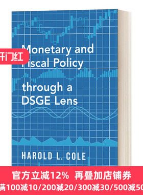 英文原版 Monetary and Fiscal Policy through a DSGE Lens 基于DSGE模型的货币与财政政策 英文版 进口英语原版书籍