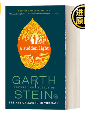 A Sudden Light 穿过森林的男孩 加思·斯坦