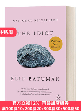 白痴 英文原版小说 The Idiot 现代小说 2018普利策小说奖入围 英文版 Elif Batuman 进口英语原版书籍