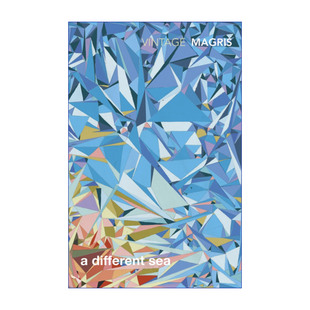 英文版 A Different Sea 克雷姆斯的弯曲时间 克劳迪奥·马格里斯 英文原版 进口英语原版书籍
