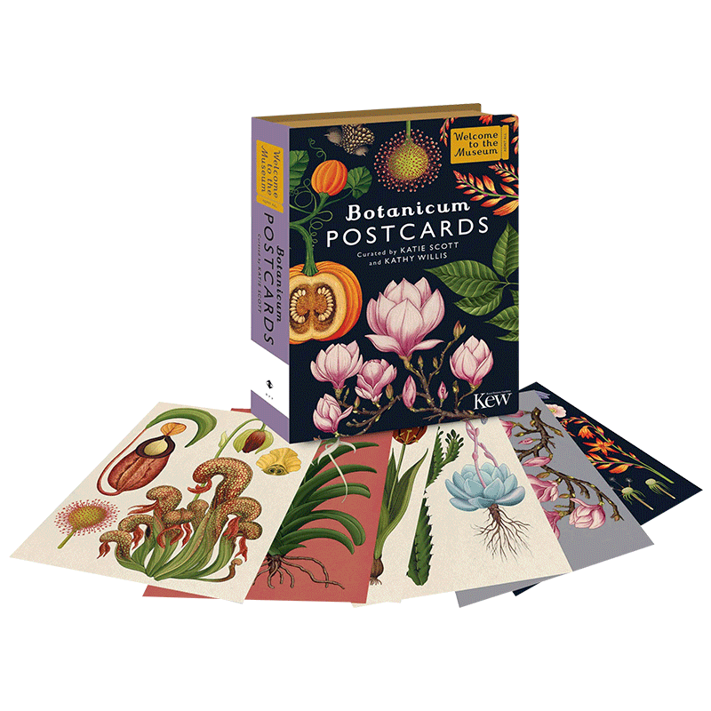 植物博物馆明信片50张 Botanicum Postcards WILLIS KATHY 原版