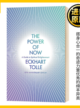 当下的力量 英文原版 The Power of Now 全英文版 Eckhart Tolle 成功励志 进口英语书籍搭身心合一的奇迹力量优秀的绵羊异类